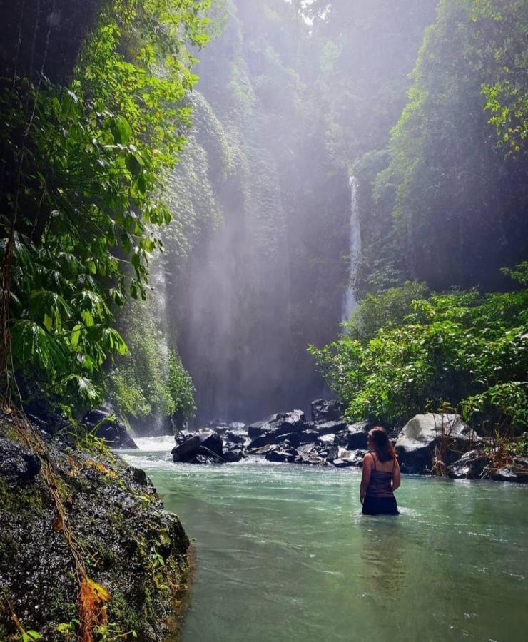 Munduk Kupang Sekumpul Villa Сінгараджа Екстер'єр фото